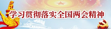 学习贯彻落实全国两会精神