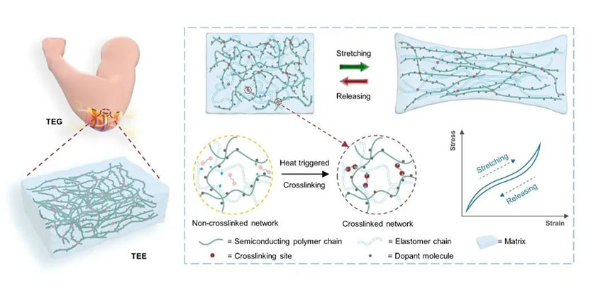 1755645756120523.jpg 640.jpg