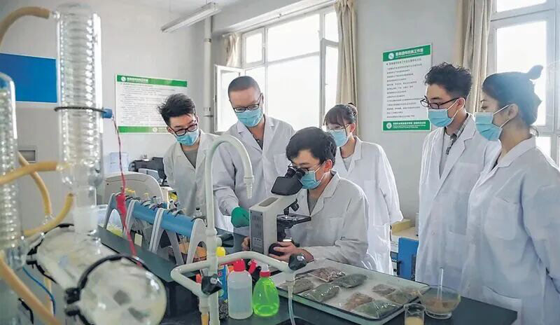 1766100766611653.jpg 微信图片_2025-12-19_073032_205.jpg